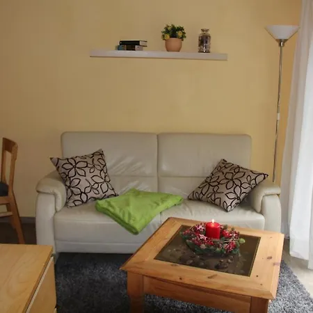 Neu! Haubentaucher 600 Meter Vom Prerow